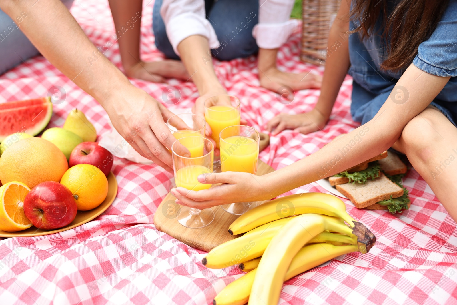 Photo of Family having picnic on checkered blanket outdoors, closeup