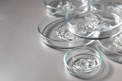 Petri dishes with samples on grey background, closeup. Space for text