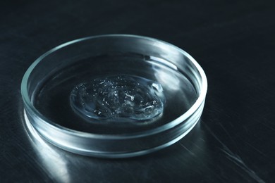 Photo of Petri dish with sample on black table