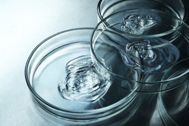 Photo of Petri dishes with samples on dark table, closeup