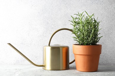 Photo of Rosemary plant growing in pot and watering can on grey textured table. Aromatic herb