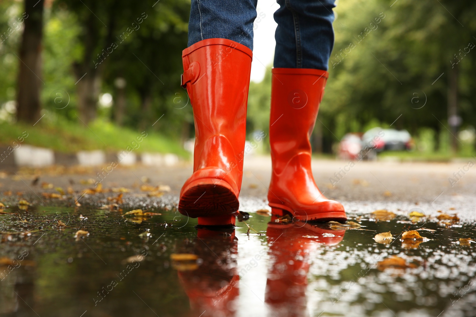 Photo of Woman wearing orange rubber boots walking in puddle outdoors, closeup