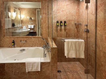 Luxury hotel interior. Stylish bathroom with modern tub and mirror