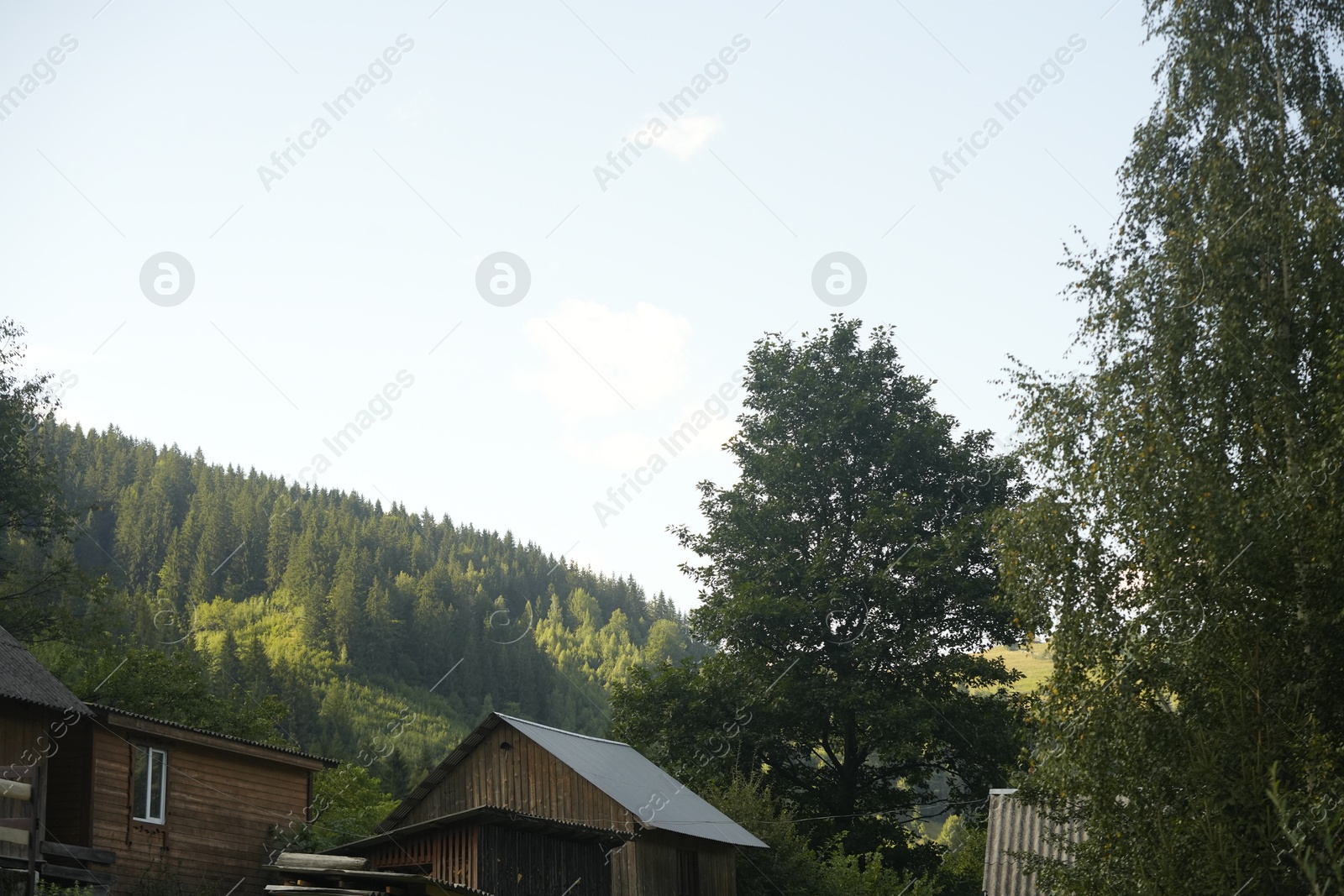 Photo of Beautiful view of houses and trees in mountains