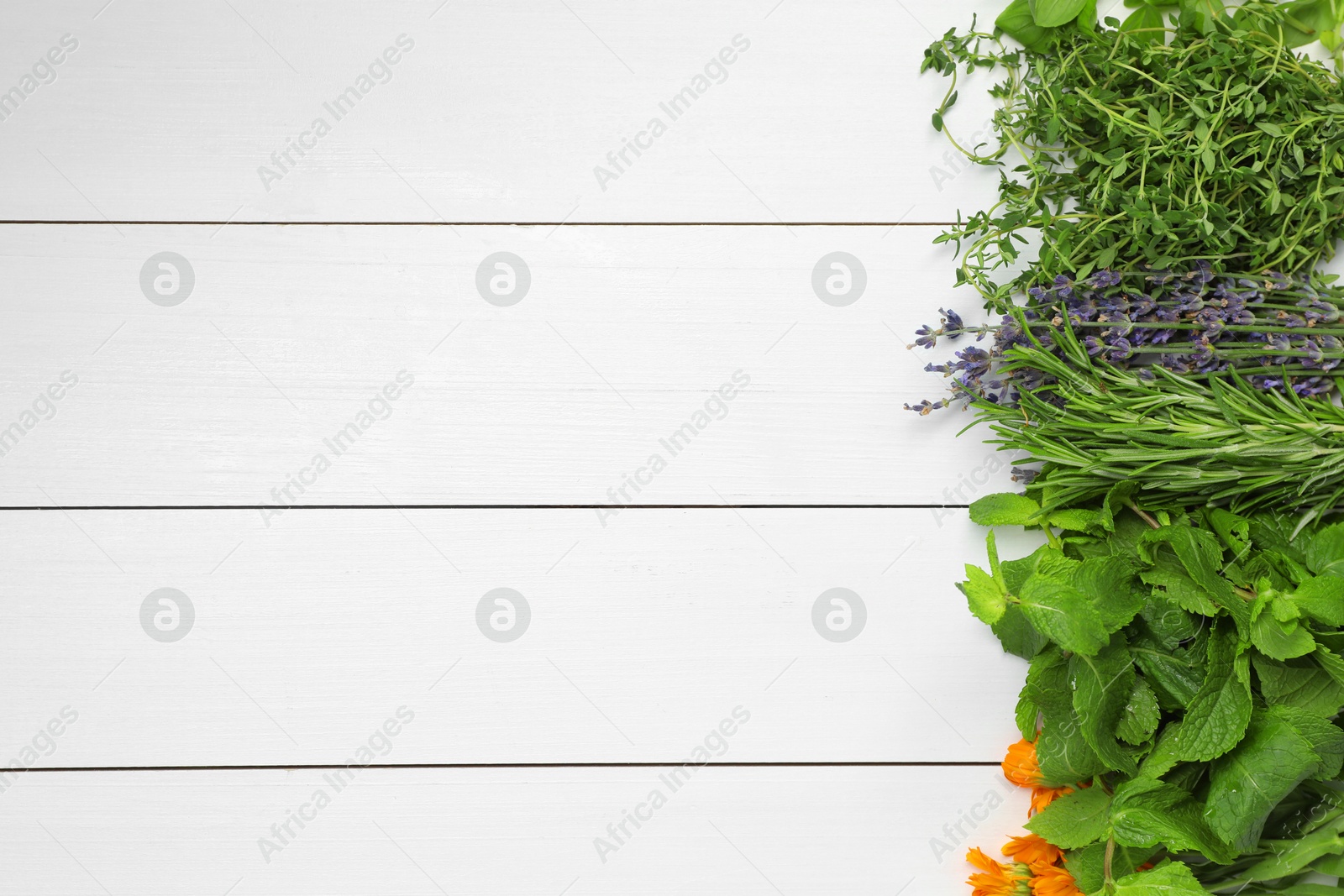 Photo of Different aromatic herbs on white wooden table, top view. Space for text