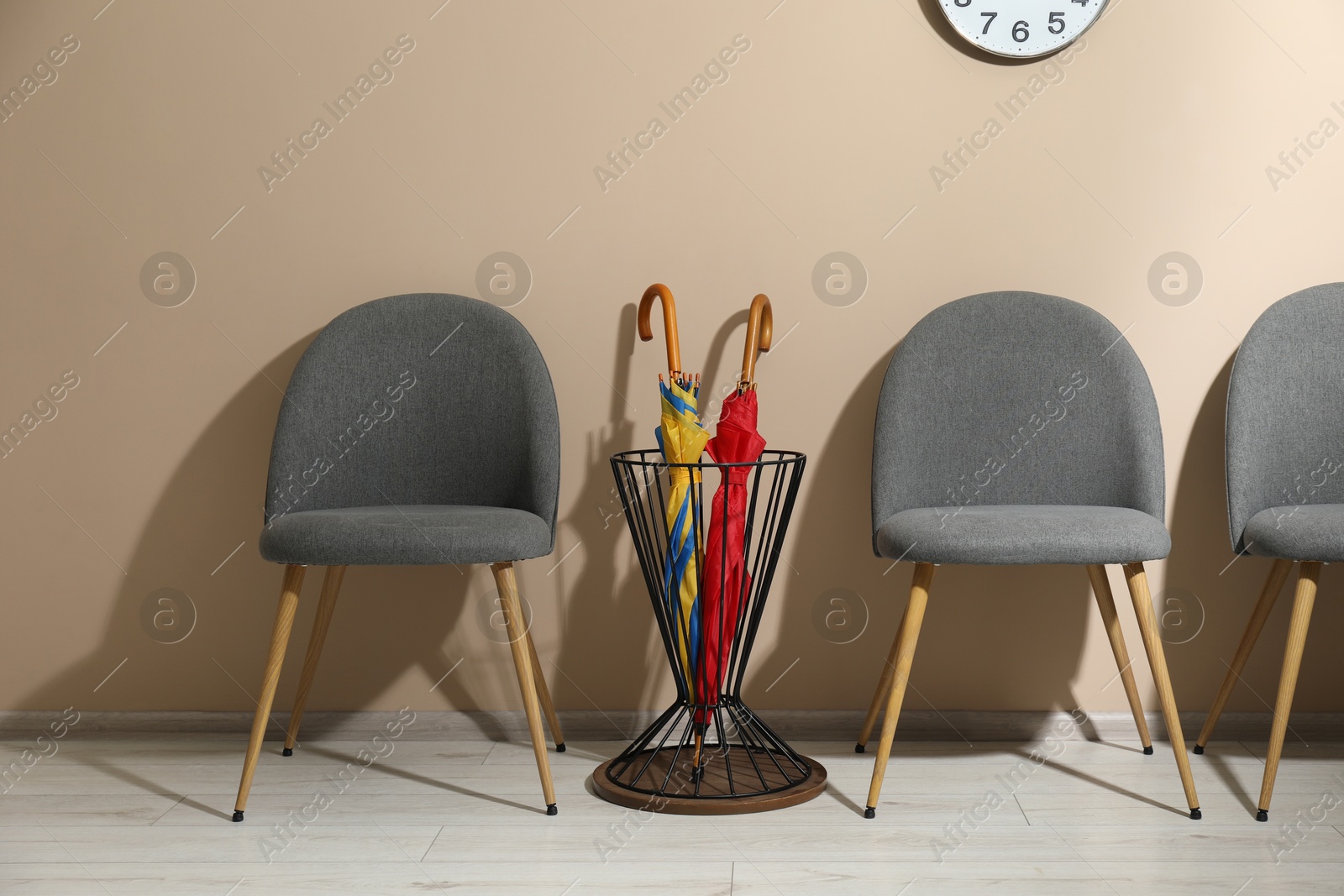 Photo of Holder with bright umbrellas among chairs near beige wall