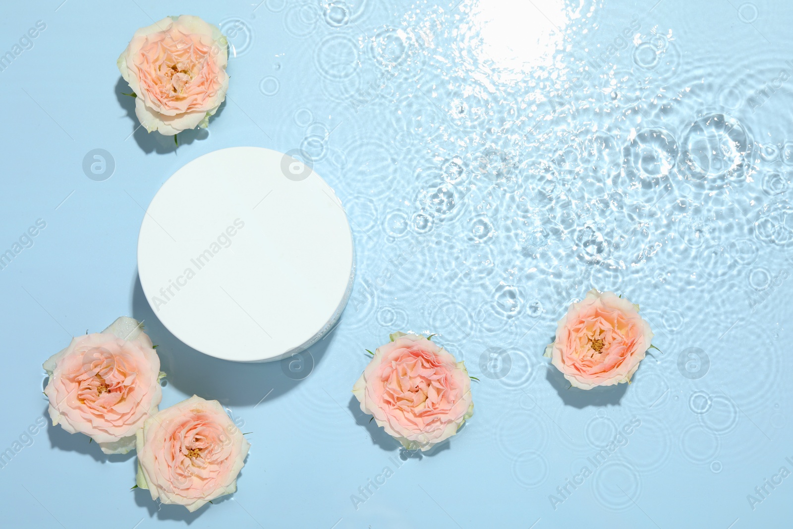 Photo of Beautiful rose flowers and round shaped podium in water on light blue background, flat lay. Space for text