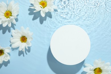 Photo of Beautiful daisy flowers and round shaped podium in water on light blue background, flat lay