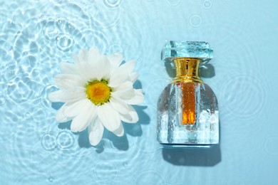 Beautiful daisy flower and perfume bottle in water on light blue background, flat lay