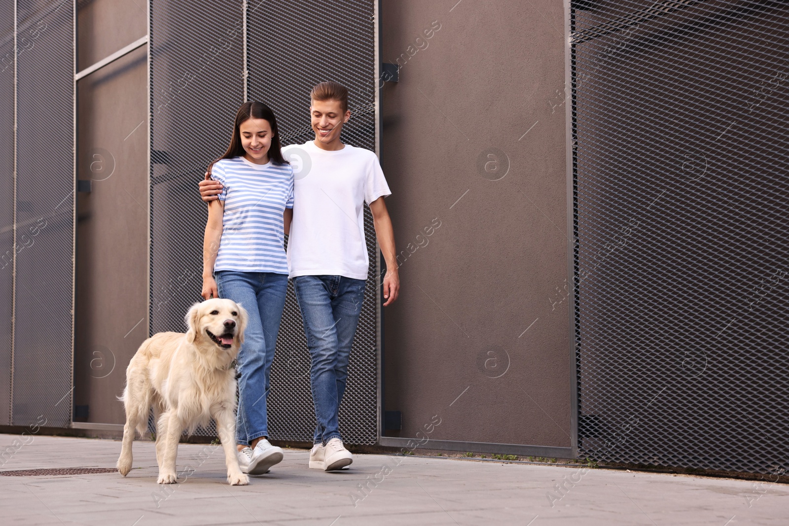 Photo of Happy couple walking with cute Golden Retriever dog outdoors, low angle view. Space for text