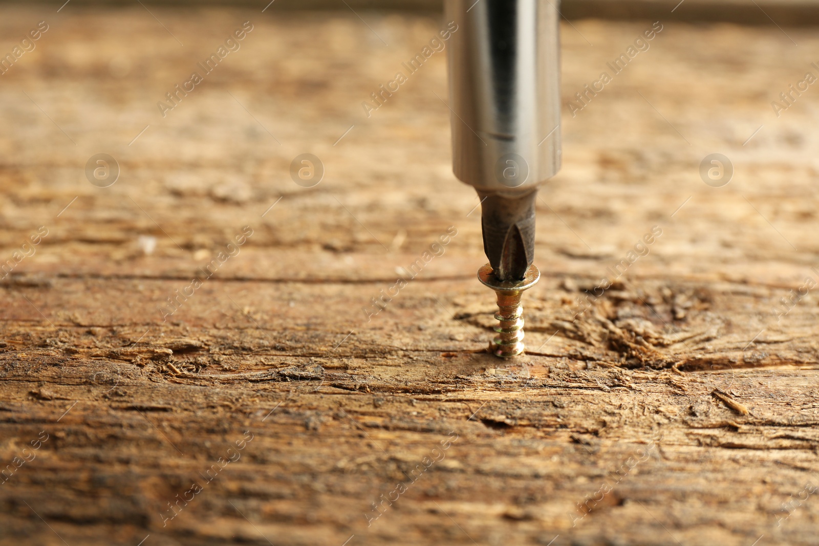 Photo of Screwing screw into wooden surface, closeup. Space for text