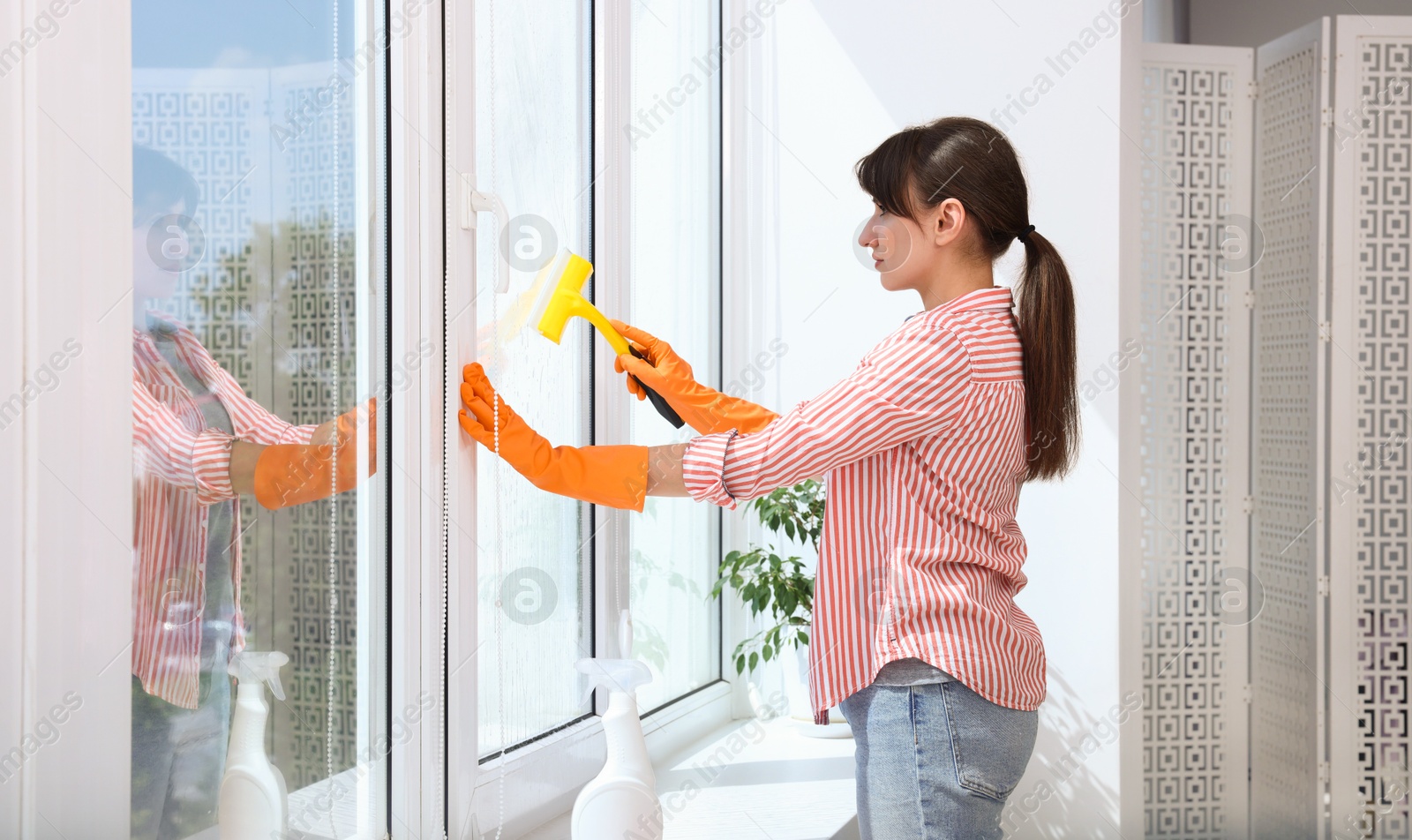 Photo of Beautiful young housewife with squeegee cleaning window indoors