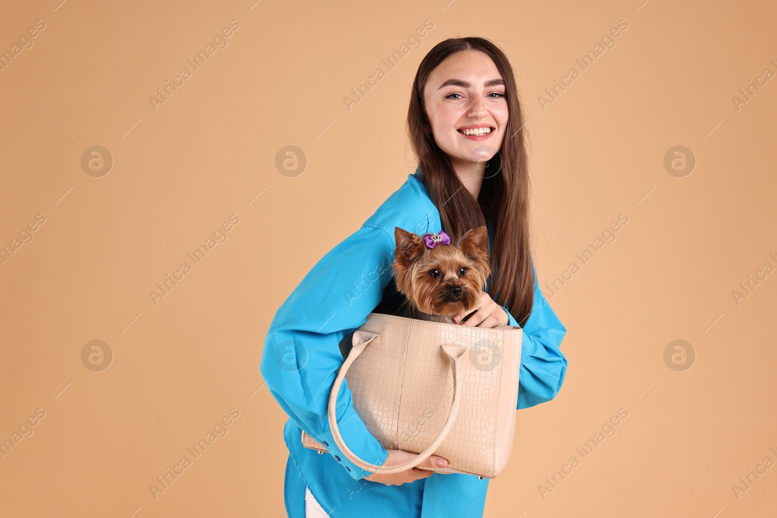 Photo of Beautiful young woman carrying cute Yorkshire Terrier dog in bag on beige background