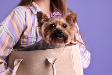 Photo of Woman carrying cute Yorkshire Terrier dog in bag on violet background, closeup