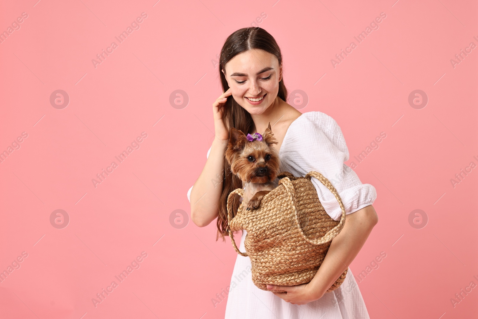 Photo of Beautiful young woman holding wicker bag with cute Yorkshire Terrier dog on pink background