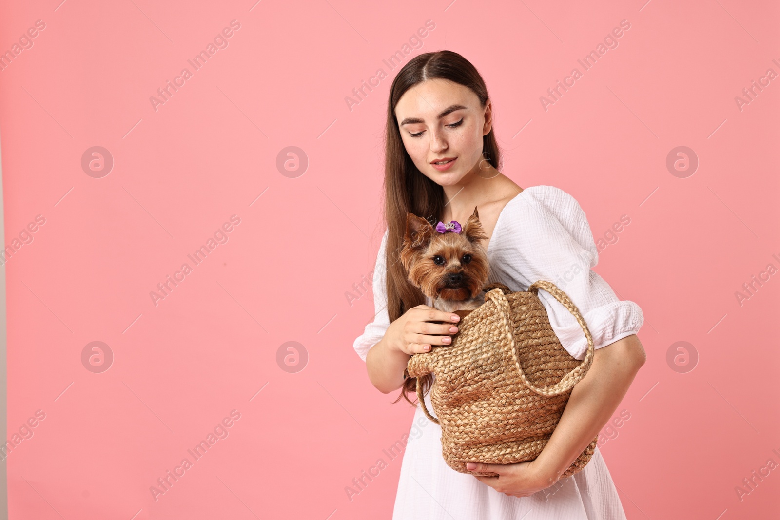 Photo of Beautiful young woman holding wicker bag with cute Yorkshire Terrier dog on pink background, space for text