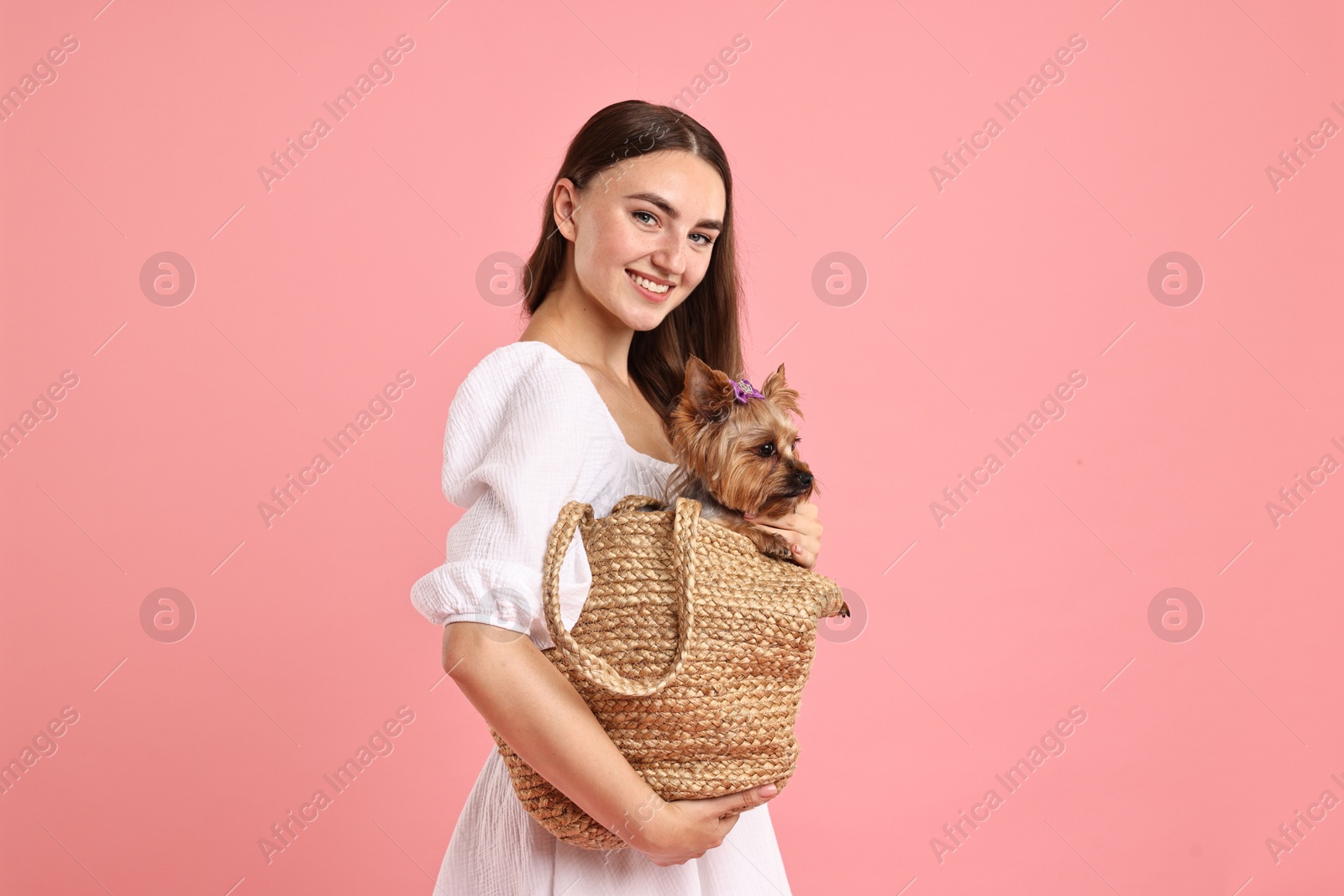 Photo of Beautiful young woman holding wicker bag with cute Yorkshire Terrier dog on pink background