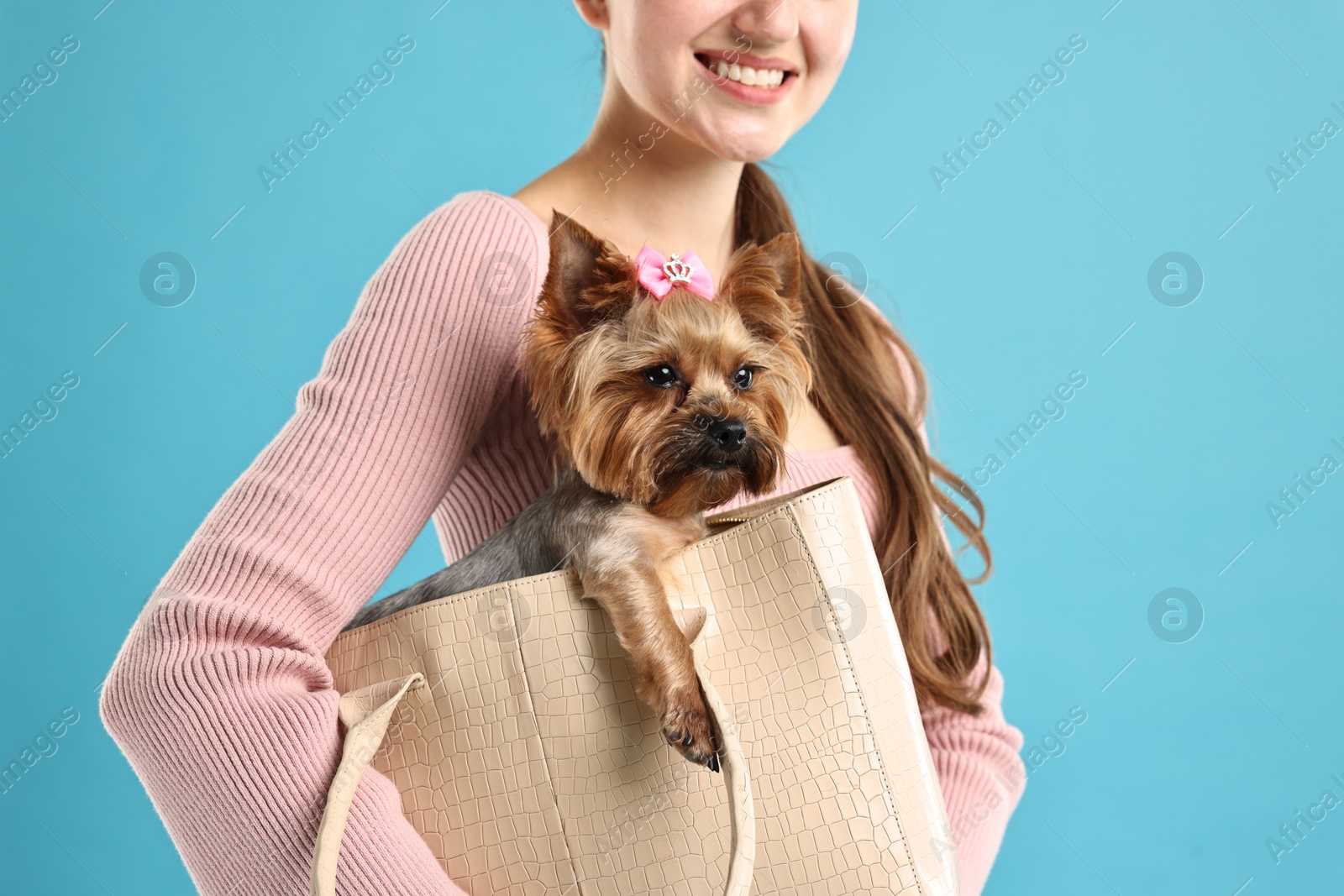 Photo of Woman holding bag with cute Yorkshire Terrier dog on light blue background, closeup