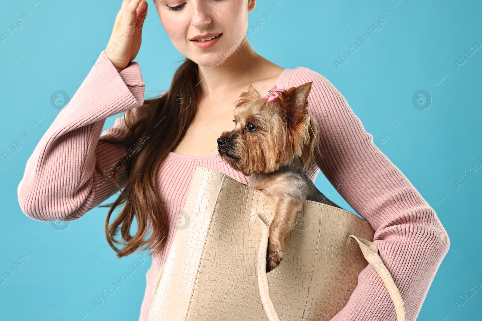 Photo of Woman holding bag with cute Yorkshire Terrier dog on light blue background, closeup