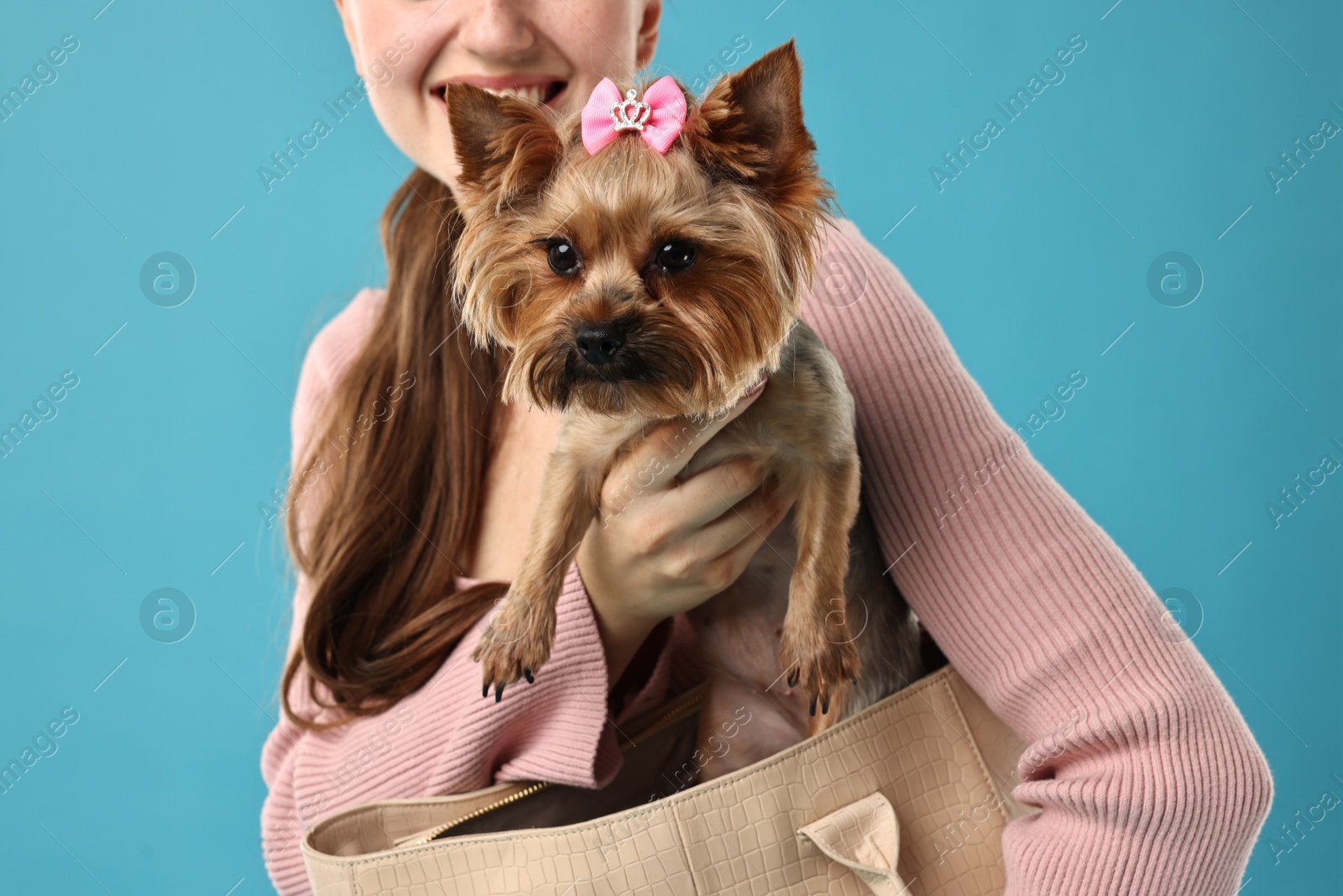 Photo of Woman carrying cute Yorkshire Terrier dog in bag on light blue background, closeup