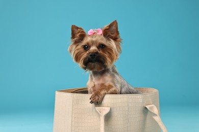 Photo of Cute Yorkshire Terrier dog in bag on light blue background