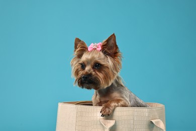 Photo of Cute Yorkshire Terrier dog in bag on light blue background