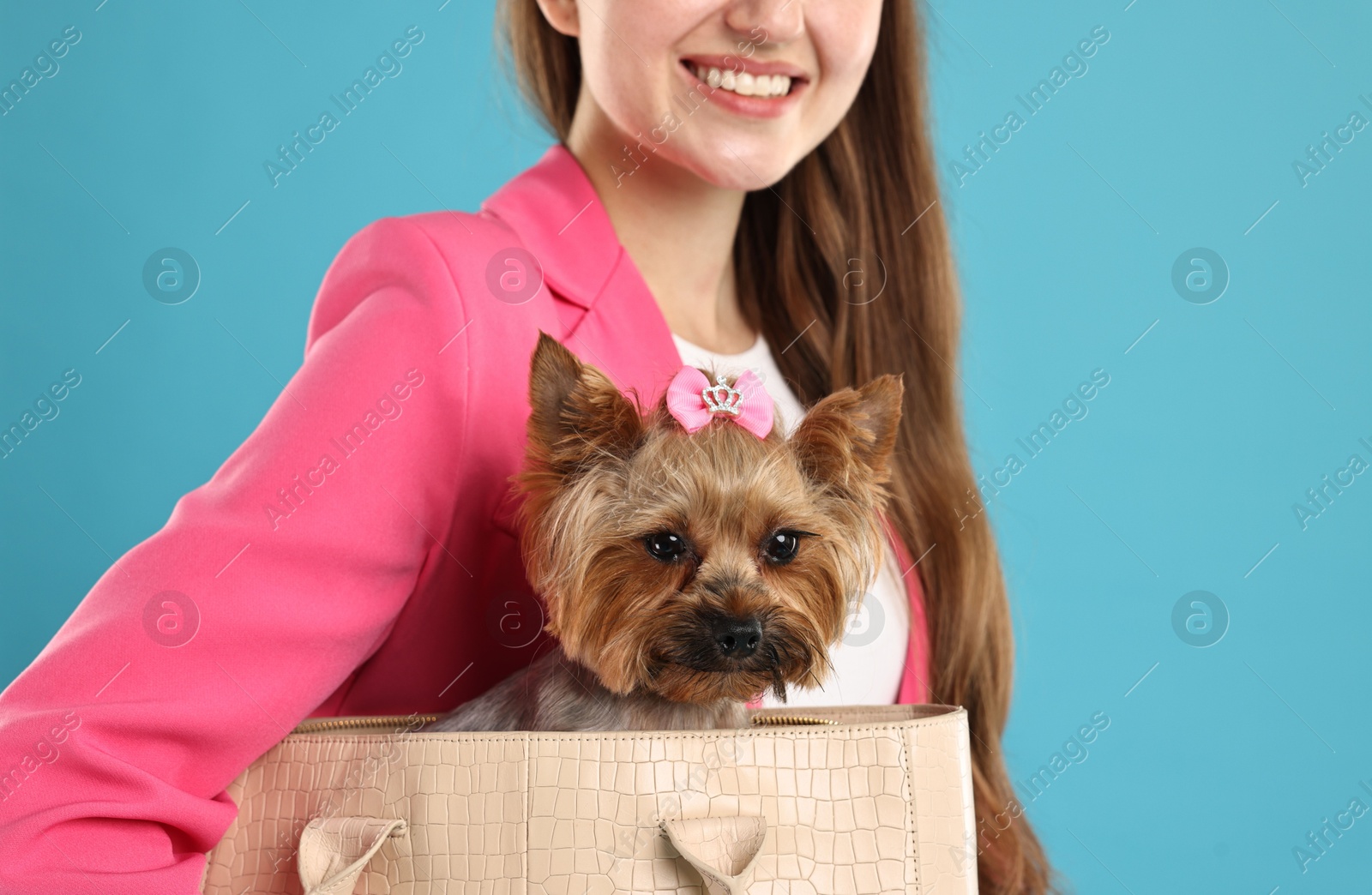 Photo of Woman carrying cute Yorkshire Terrier dog in bag on light blue background, closeup