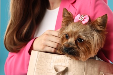 Photo of Woman carrying cute Yorkshire Terrier dog in bag on light blue background, closeup