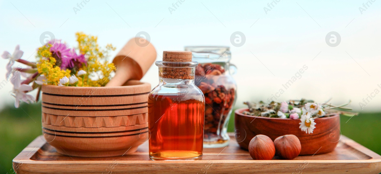 Photo of Tincture in bottle, different ingredients, mortar and pestle outdoors