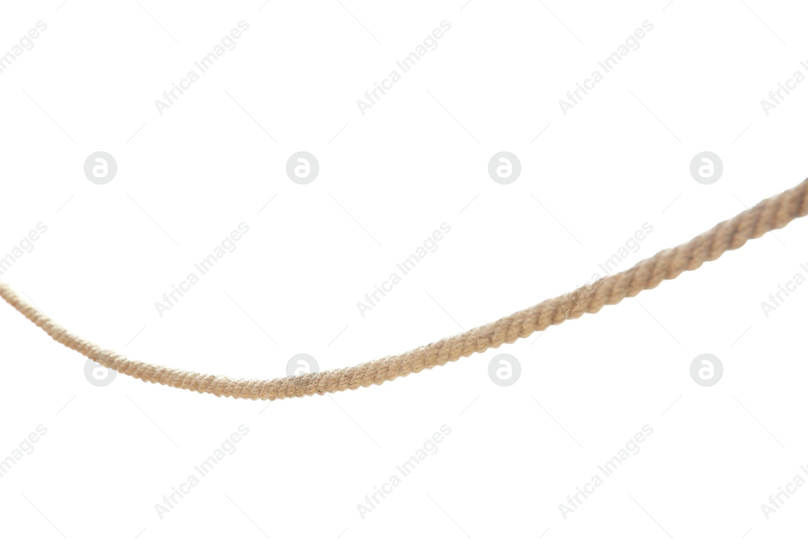 Photo of One braided hemp rope isolated on white