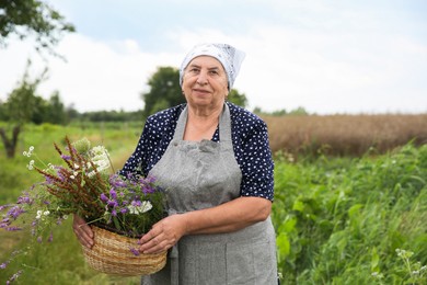 Photo of Senior woman with wildflowers for tincture outdoors, space for text