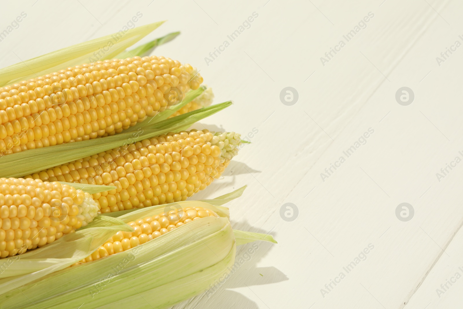 Photo of Many fresh ripe corncobs with green husks on white wooden table, closeup. Space for text