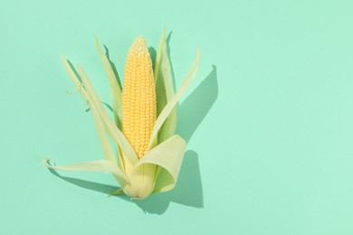 Fresh ripe corncob with green husks on turquoise background, top view. Space for text