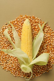 Fresh ripe corncob and kernels on beige background, top view