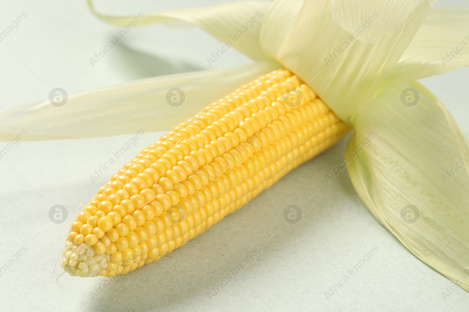 Photo of Fresh ripe corncob with green husks on light background, closeup