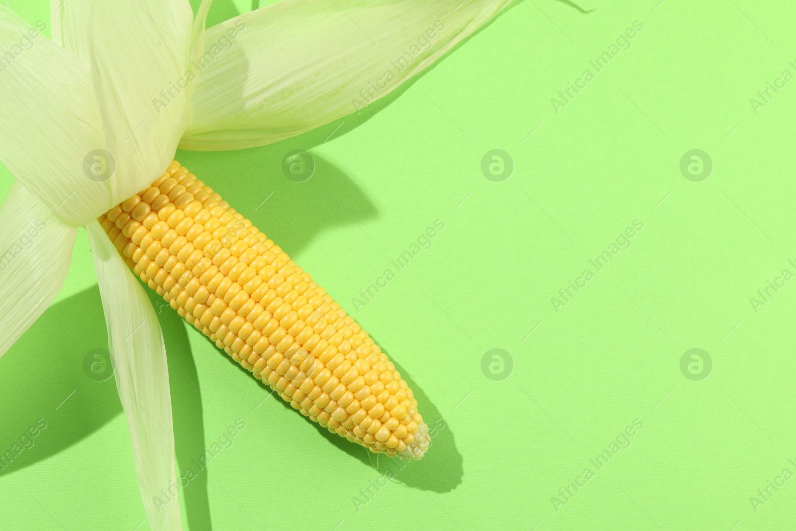 Photo of Fresh ripe corncob with husks on light green background, top view. Space for text