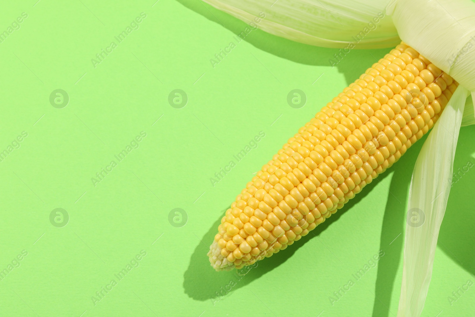 Photo of Fresh ripe corncob with husks on light green background, top view. Space for text