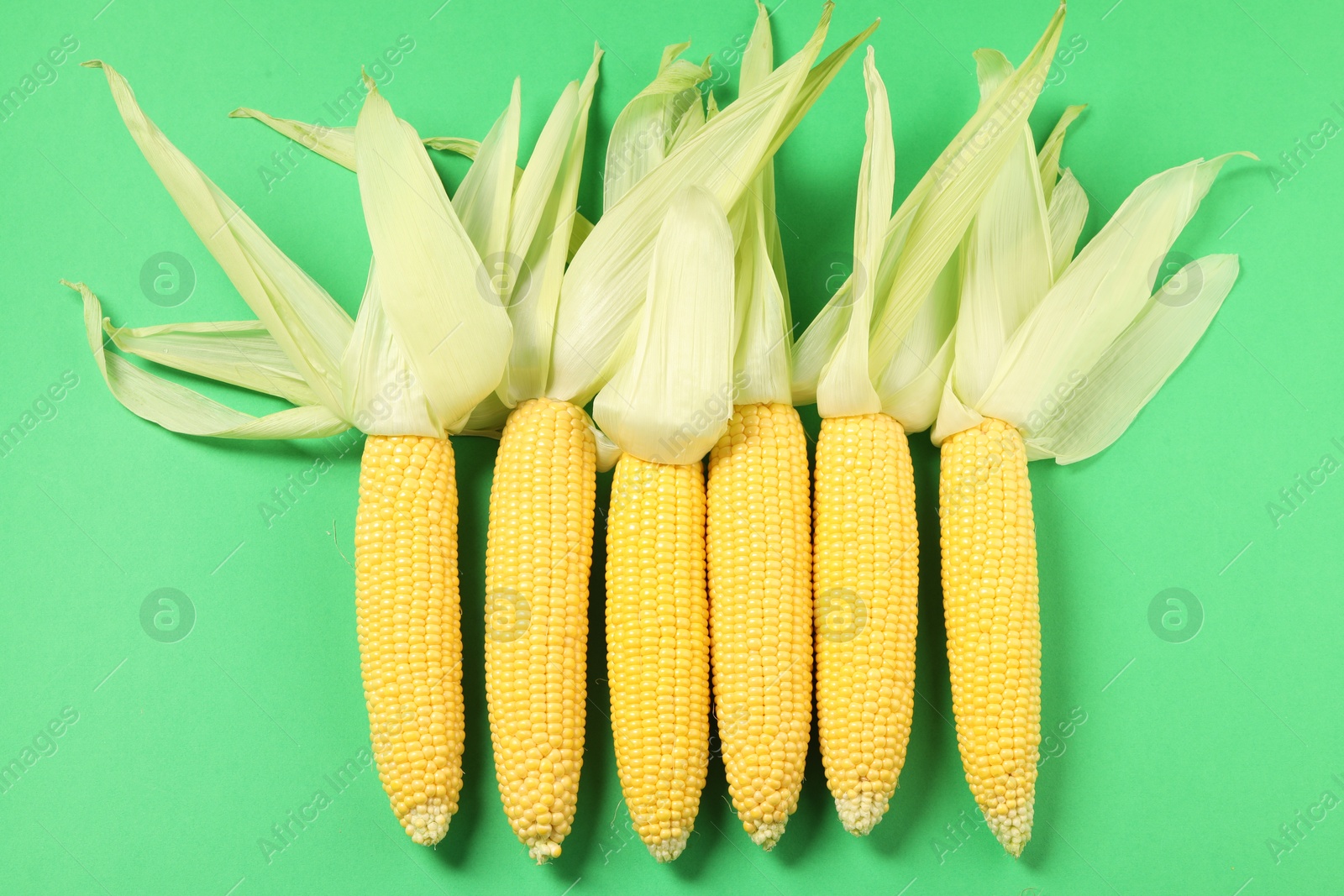 Photo of Many fresh ripe corncobs with husks on green background, top view