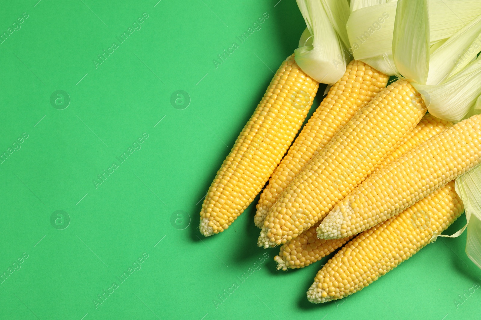 Photo of Many fresh ripe corncobs with husks on green background, top view. Space for text