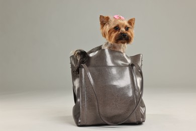 Photo of Cute Yorkshire Terrier dog in bag on grey background