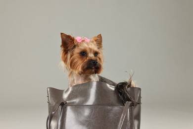 Photo of Cute Yorkshire Terrier dog in bag on grey background