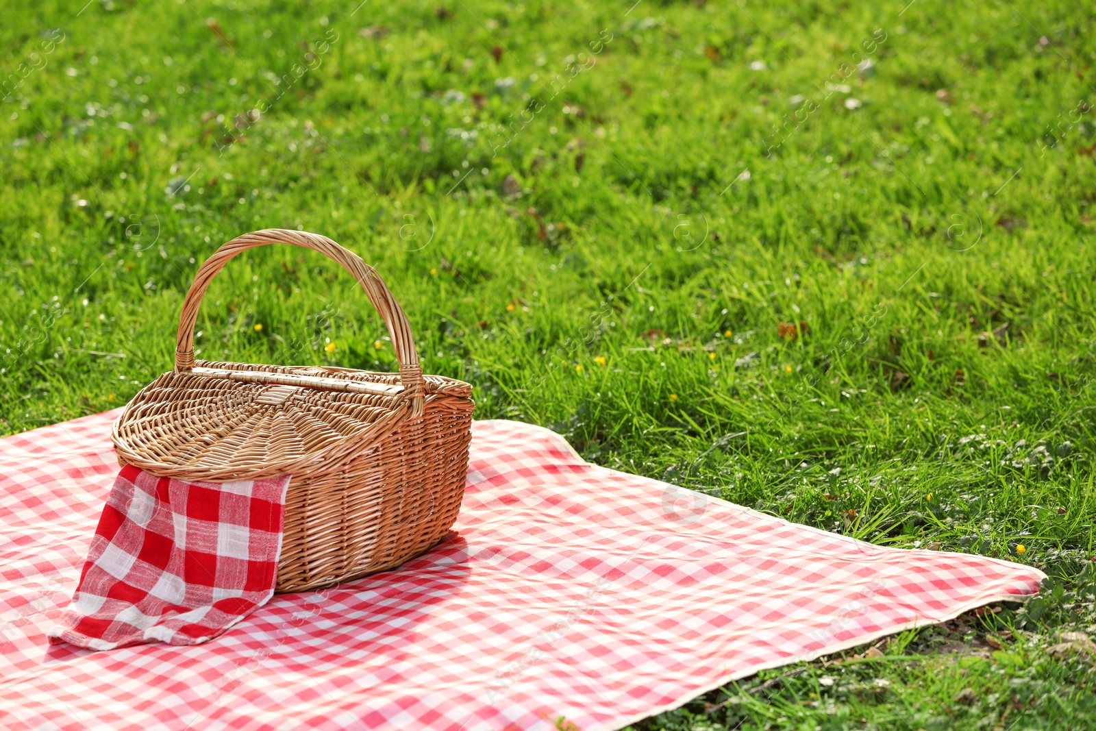 Photo of One picnic wicker basket with checkered napkin and blanket on green grass. Space for text