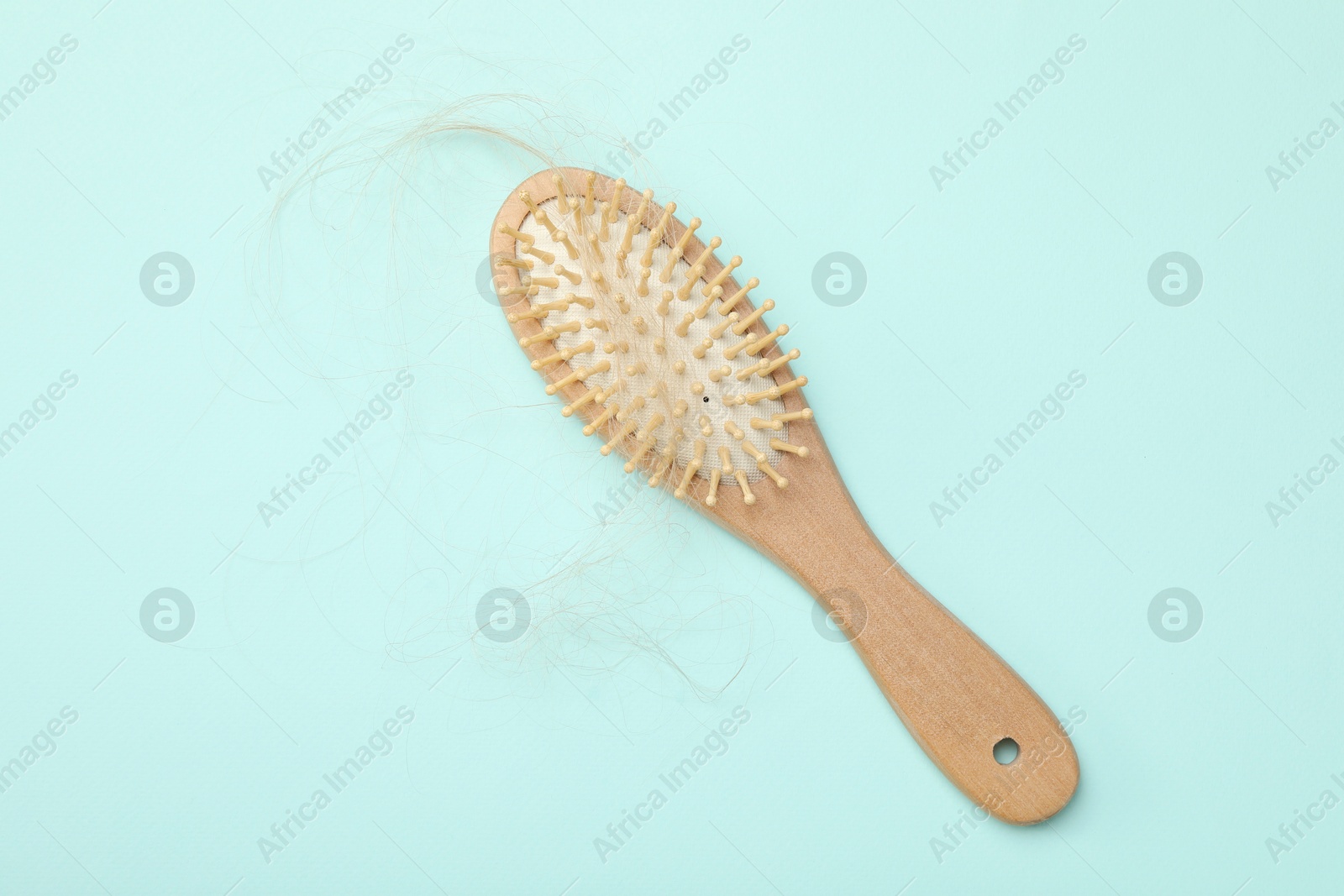 Photo of One brush with lost hair on light blue background, top view. Alopecia problem