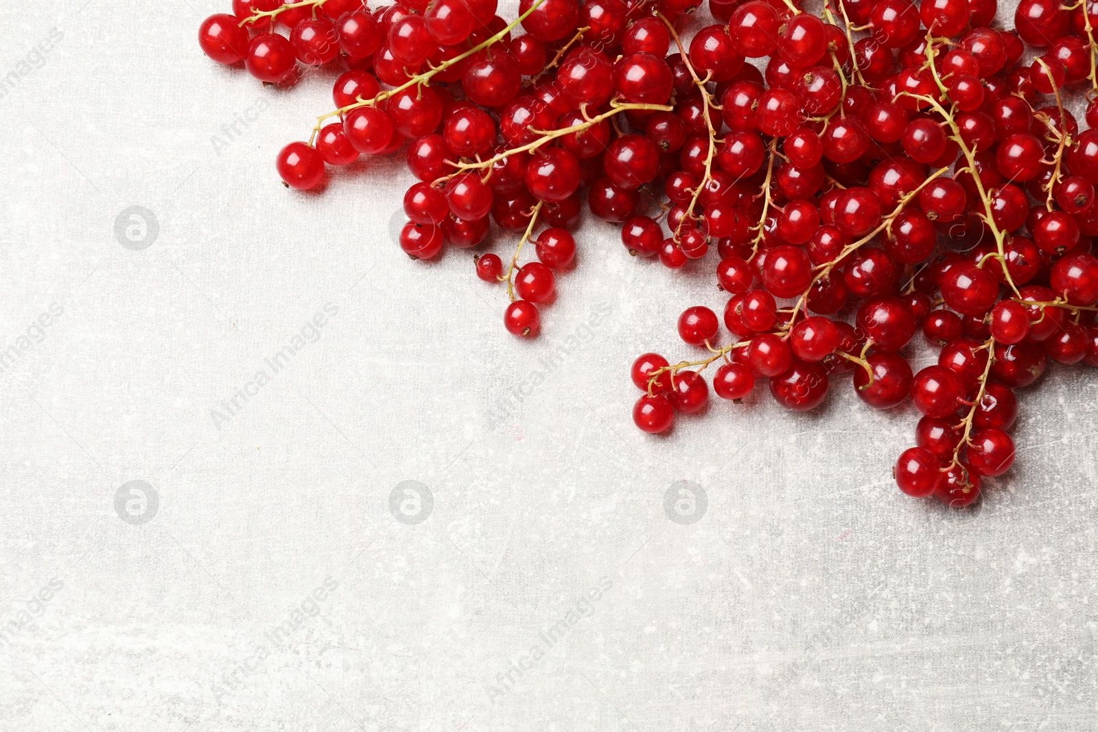 Photo of Fresh red currants on light grey table, top view. Space for text