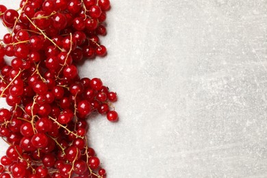 Photo of Fresh red currants on light grey table, top view. Space for text