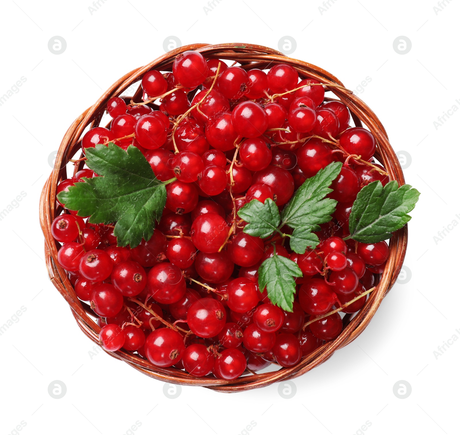 Photo of Ripe red currants with green leaves in basket isolated on white, top view