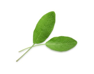 Photo of Fresh green sage leaves isolated on white, top view