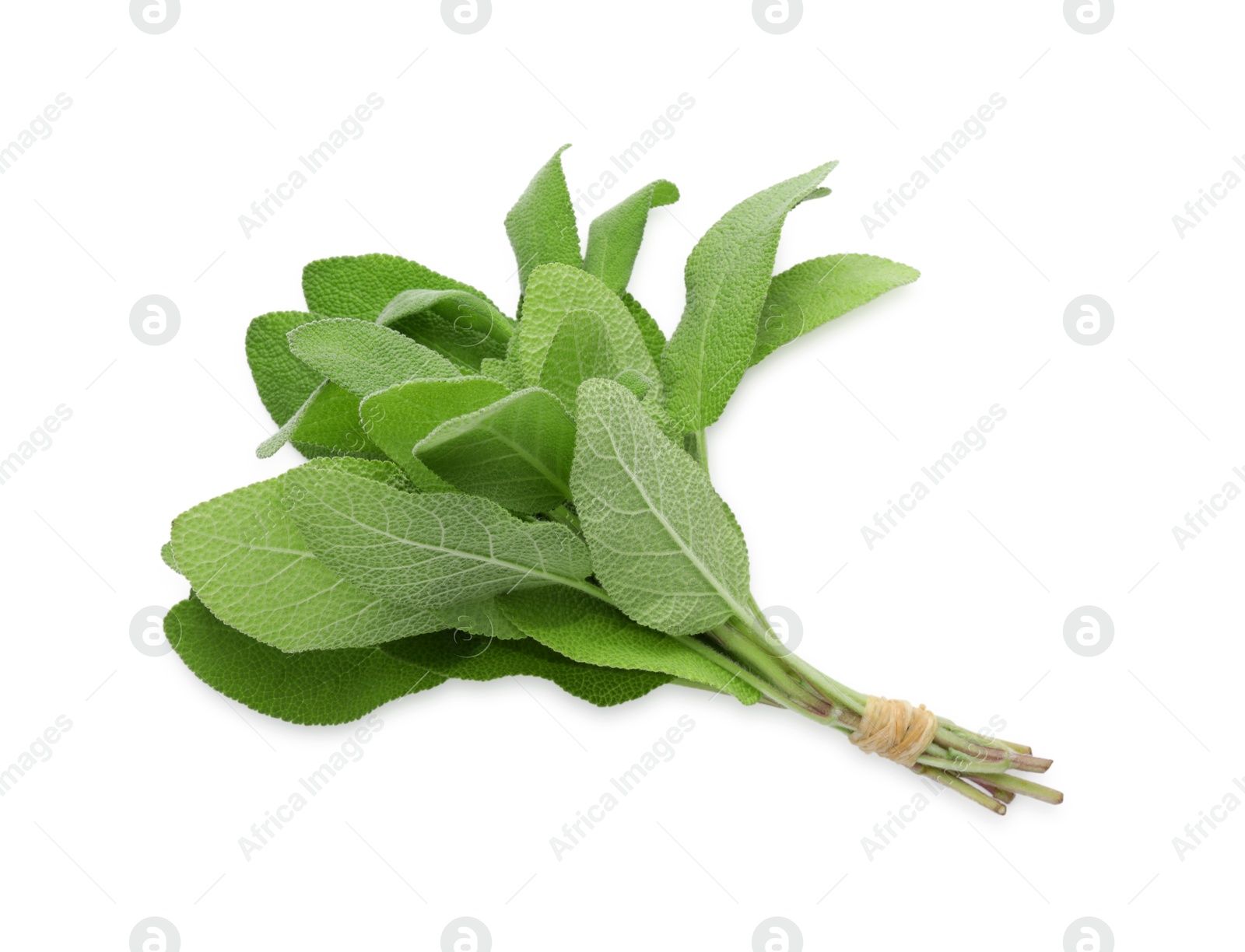 Photo of Bunch of green sage leaves isolated on white, top view