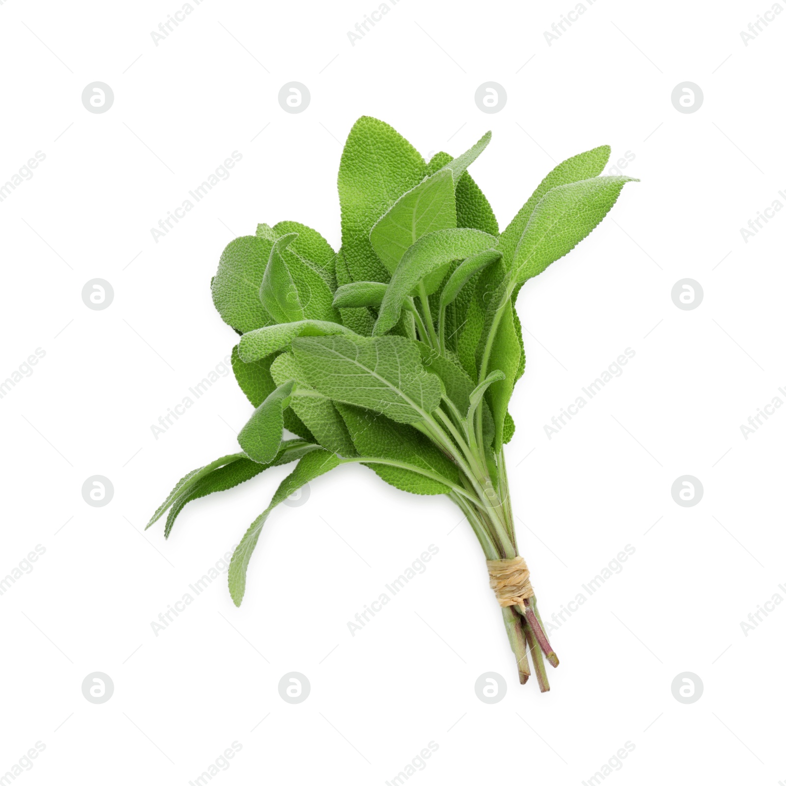 Photo of Bunch of green sage leaves isolated on white, top view