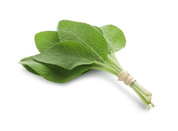 Photo of Bunch of green sage leaves isolated on white